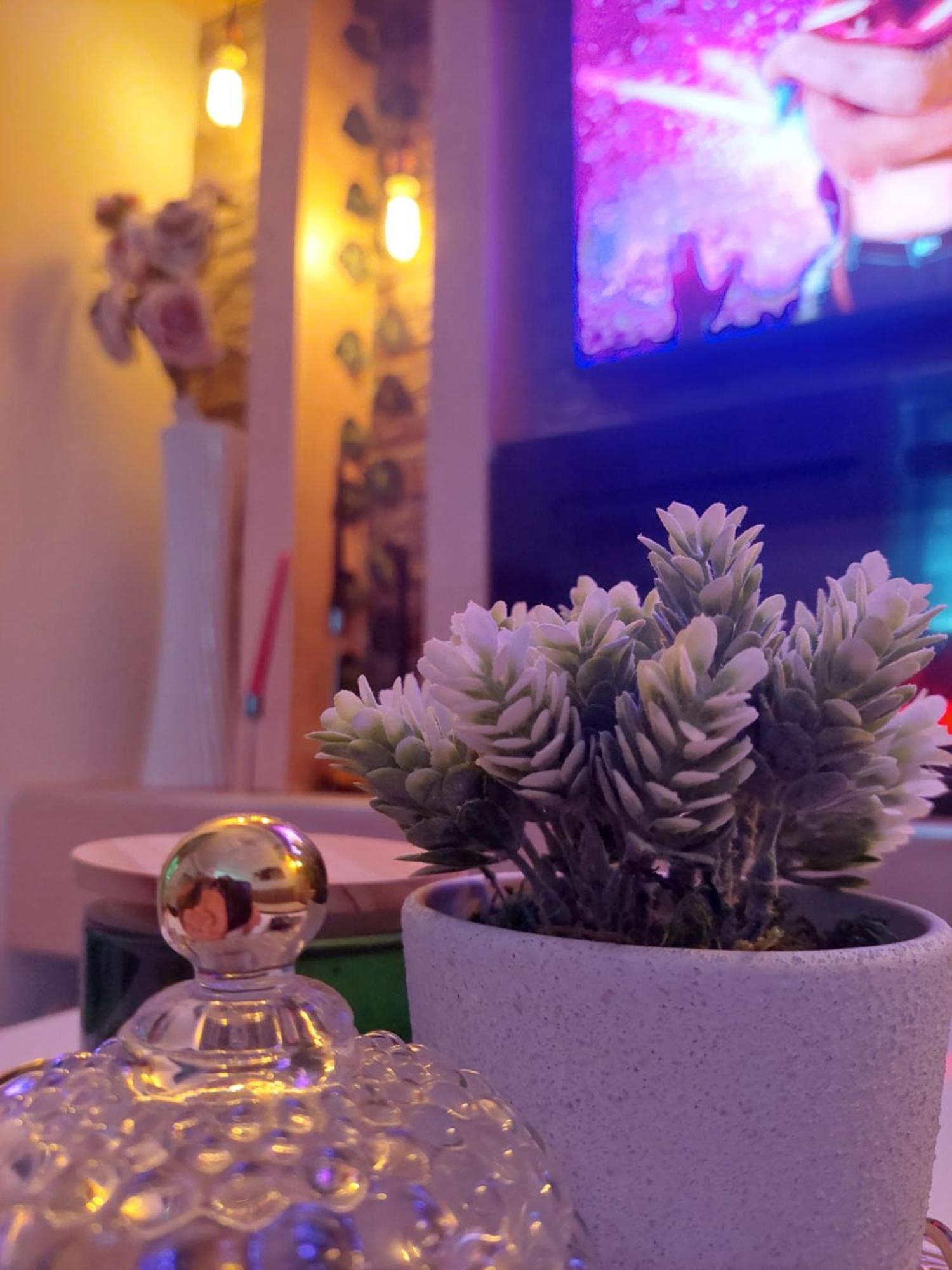 Apartman Star Lux Kula المظهر الخارجي الصورة